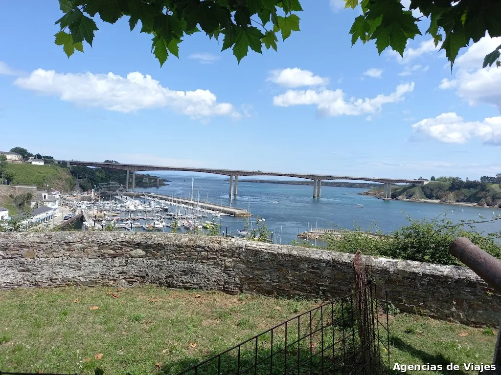 Viajes Viabus Travel S L