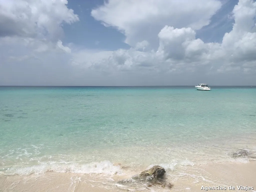 VIATGES SERENGETTI SL